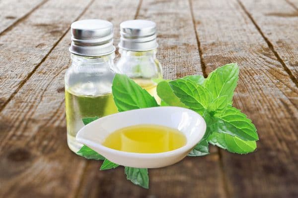 A lone tree in a vast field, showcasing the natural beauty of the Western Ghats